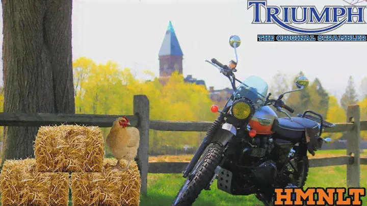 Обзор и руководство по покупке Triumph Scrambler 2006–2018 гг.